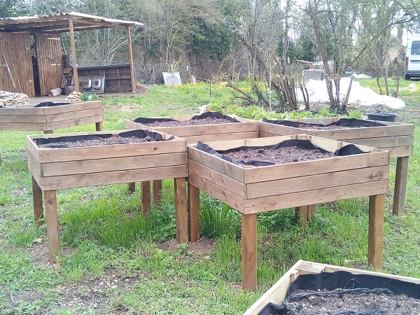 carres potagers 2