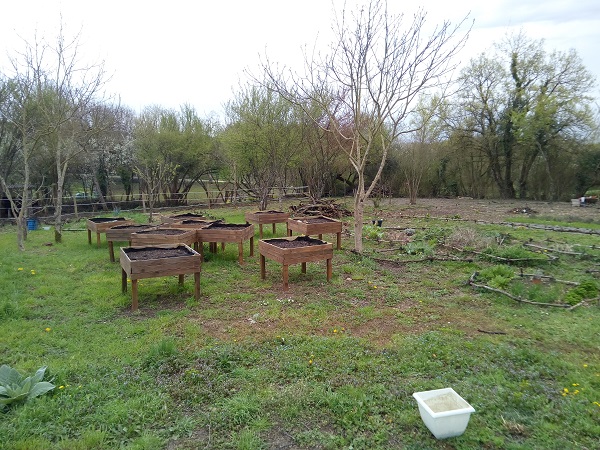 carres potagers 3