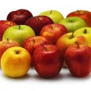Quel mois signe le retour des pommes dans les jardins et sur les étals ?